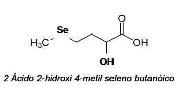 Seleno-hidroxi-metionina análoga: Um antioxidante inovador - Image 2
