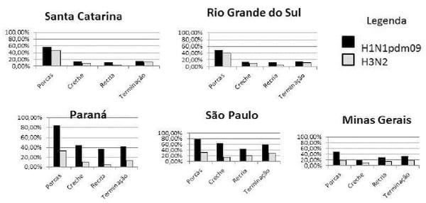 IDENTIFICAÇÃO DE SUBTIPOS DO VÍRUS DA INFLUENZA SUÍNA CIRCULANTES NO SUDESTE E SUL DO BRASIL - Image 2