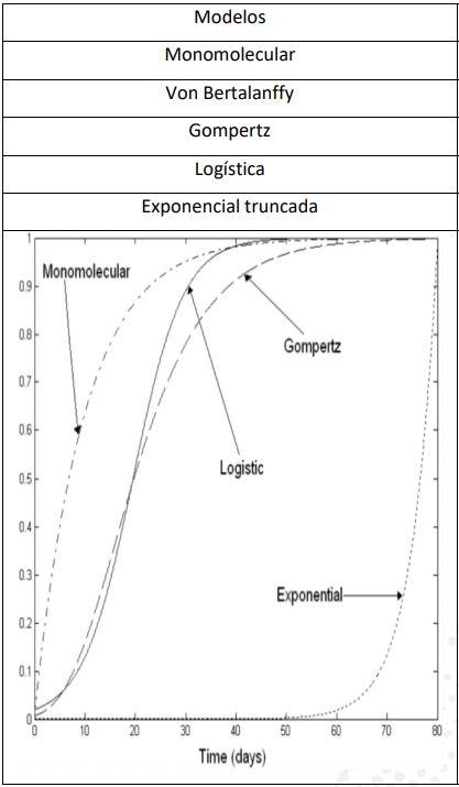 Descrevendo e predizendo curvas de crescimento e forças metabólicas - Image 50