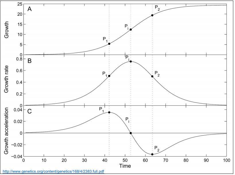 Descrevendo e predizendo curvas de crescimento e forças metabólicas - Image 5