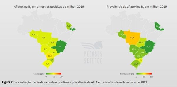 Micotoxinas em milho: Brasil - Ano 2019 - Image 4