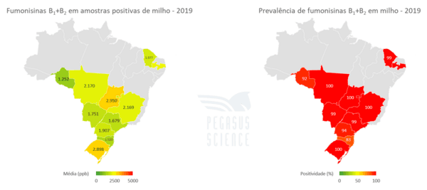 Micotoxinas em milho: Brasil - Ano 2019 - Image 6