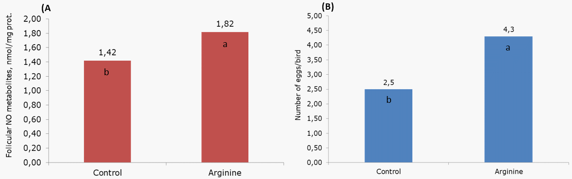 Importância da Arginina em Aves Reprodutoras - Image 2