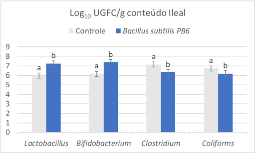Figura 3. Efeito do Bacillus subtilis PB6 na contagem de bactérias.