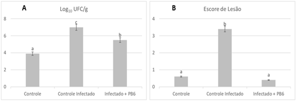 Figura 2. Contagem de Clostriduim Perfringes (a) e Escore de lesão (b) em frangos de corte suplementados com Bacillus subtilis PB6 aos 28 dias desafiados com Clostridium perfringens.