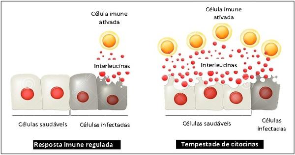 Peste Suína Africana: o papel da imunidade e do fortalecimento do sistema imune auxiliando na prevenção à doença - Image 1