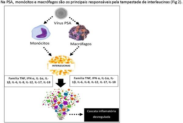 Peste Suína Africana: o papel da imunidade e do fortalecimento do sistema imune auxiliando na prevenção à doença - Image 2