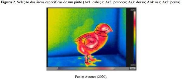 Resfriamento da água utilizada em sistema de climatização evaporativo e o desempenho de frangos de corte - Image 2