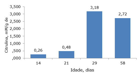  Concentração de citrulina em enterócitos de leitões (adaptado de Wo et al. 1994 – após 30 minutos de incubação e 0% de glutamina). 