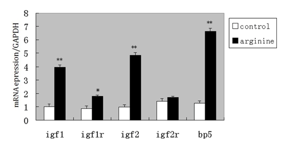Figura 10. Expressão do mRNA de IGF1; IGF2; IGF1R; IGF2R e IGFBP5 no músculo *(P<0,05); **(P<0,01). 