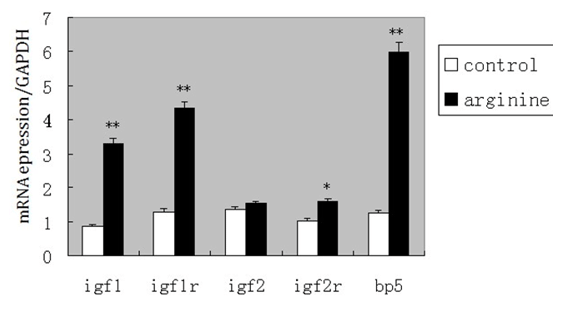 Figura 11. Expressão do mRNA de IGF1; IGF2; IGF1R; IGF2R e IGFBP5 no fígado *(P<0,05); **(P<0,01). 