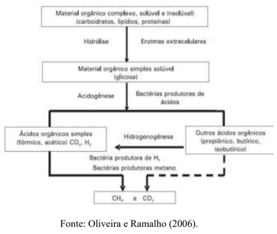 Figura 1. Etapas metabólicas para a produção de metano.