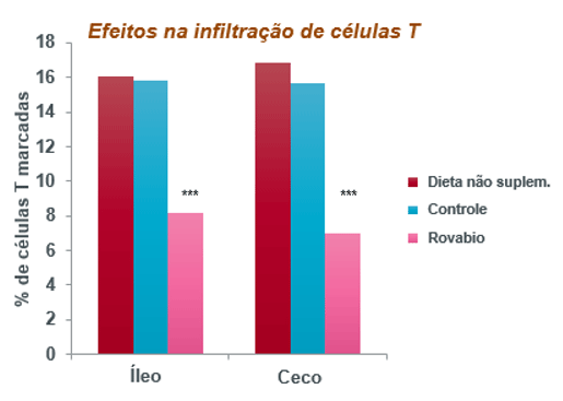 Figura 3 - Rovabio® diminuiu significativamente a infiltração de células T no íleo e ceco de frangos no dia 14 (P < 0,05)
