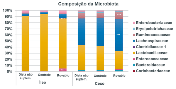 Figura 2 - Rovabio® aumentou significativamente as bactérias das famílias Enterococcaceae e Clostridiaceae 1 no íleo e Lachnospiraceae e Ruminococcaceae no ceco de frangos de corte no dia 14 (P < 0,05)