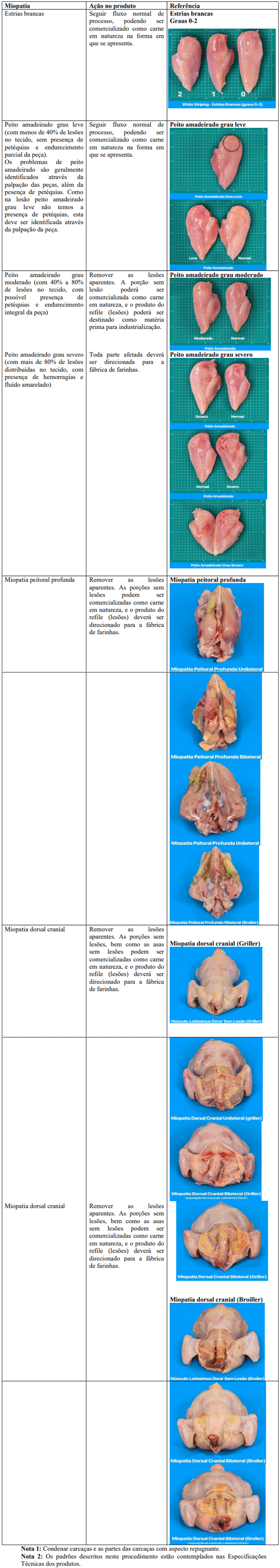 Tabela 1 – Monitoramento de miopatias, ações que devem ser tomadas quando encontradas nas carcaças e respectivas musculaturas e a imagem representativa de cada uma