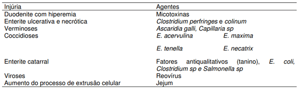 Tabela 2. Principais injúrias que acometem a mucosa intestinal e seus respectivos agentes.