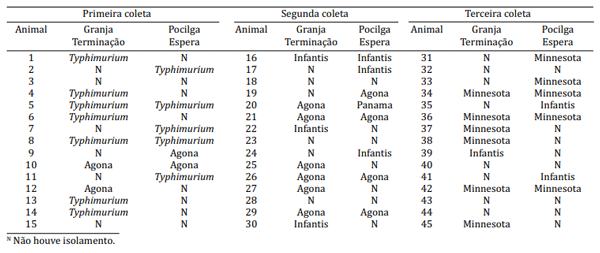 Quadro 4. Identiicação antigênica dos sorovares de Salmonella por suíno amostrado, de acordo com o local de isolamento e com a coleta
