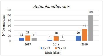 Aumento da ocorrência de Actinobacillus suis no Brasil - Image 1