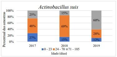 Aumento da ocorrência de Actinobacillus suis no Brasil - Image 2