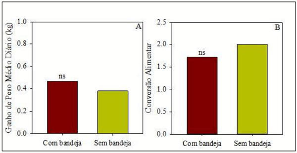 Figura 2. Ganho de peso médio diário (A) e conversão alimentar (B) de leitões Large Whitena fase de creche alimentados com comedouro com ou sema bandejaeconomizadora de ração. ns= não significativo a 5% de probabilidade de erro.