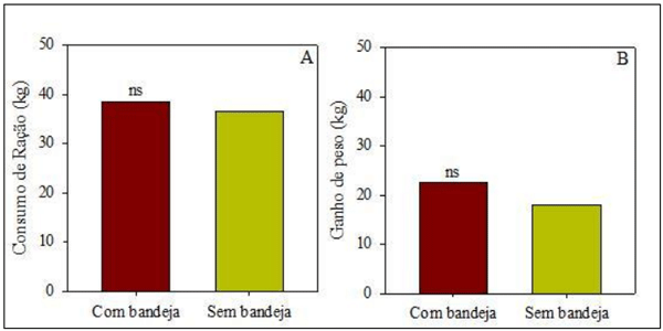 Figura 2. Consumo de ração total (A) e ganho de peso médio total (B) de leitões Large Whitena fase de creche alimentados com comedouro com ou sema bandejaeconomizadora de ração. ns= não significativo a 5% de probabilidade de erro.