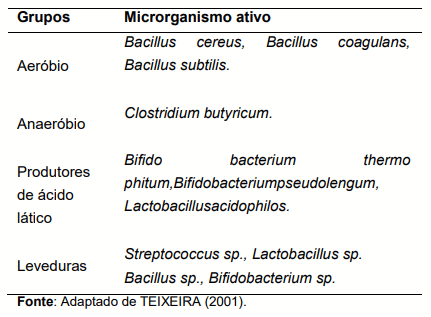 TABELA 1: Principais microrganismos ativos dos probióticos