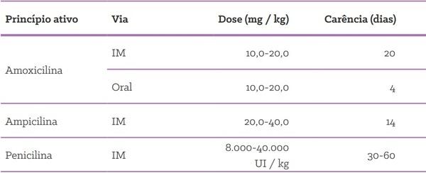 Quais as formas de uso de antimicrobianos em suínos? - Image 10