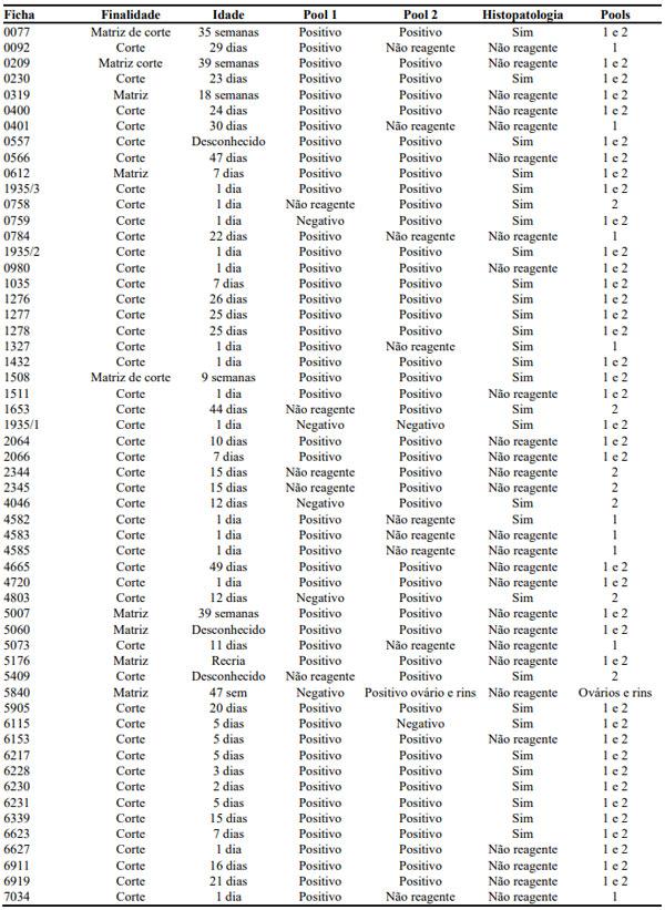Tabela 1. Casos de Aviadenovirus entre setembro de 2021 a maio de 2022