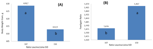 Figura 1. Duas relações de leucina:lisina SID e seu efeito sobre o ganho de peso (A) e conversão alimentar (B) de frangos de corte. 