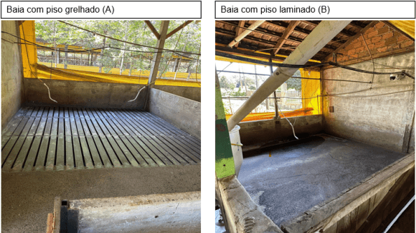 Comportamento de suínos em fase de terminação em diferentes tipos de piso - Image 2