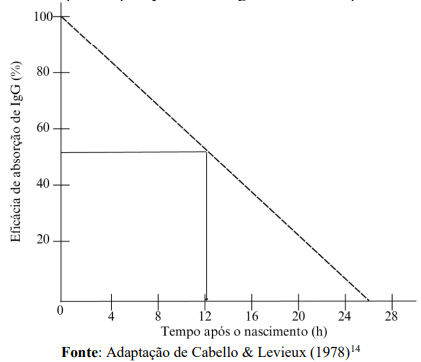 Figura 1 – Capacidade de absorção intestinal de imunoglobulinas em ovinos em horas depois do parto