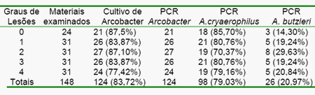 Cultivo de arcobacter spp a partir de estômagos com diferentes graus de lesões de úlcera gástrica em suínos - Image 1