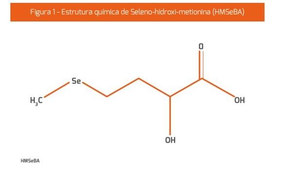 O stress oxidativo e o metabolismo antioxidante - Image 1