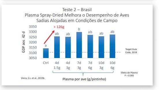 Impacto do Plasma Spray-Dried Nanofiltrado na saúde intestinal e no desempenho de frangos de corte - Image 2
