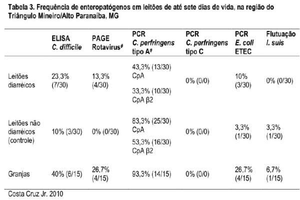 Estudos recentes com enteropatógenos de suínos no Brasil - Image 3
