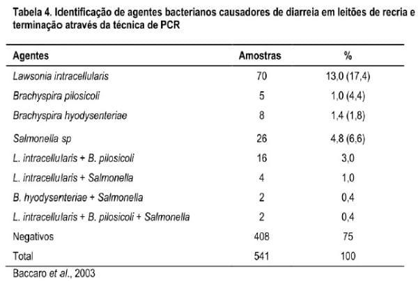 Estudos recentes com enteropatógenos de suínos no Brasil - Image 4
