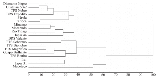 Composição de aminoácidos de cultivares de feijão e aplicações para melhoramento genético - Figura 3
