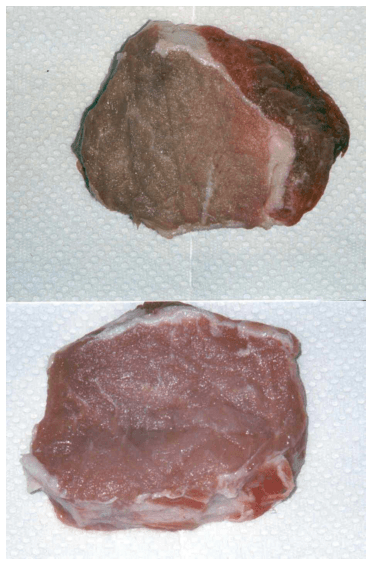 Transformações post mortem e qualidade da carne suína - Image 2