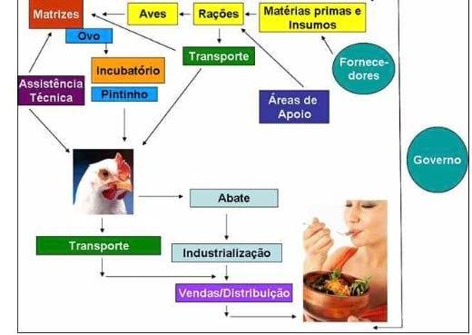A rastreabilidade na indústria avícola - Image 2