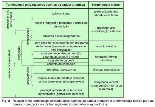 Transação entre Suinocultor e Agroindústria em Santa Catarina - Image 4