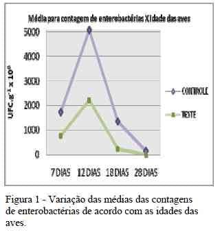 Influência da flora de exclusão competitiva sobre o PH do papo de frangos de corte - Image 5