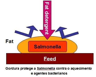 Controle de Salmonela em Unidades de Beneficiamento de Insumos Agrícolas - Image 4