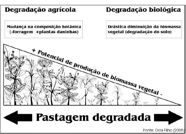 Sistemas silvipastoris na recuperação de pastagens tropicais degradadas - Image 1