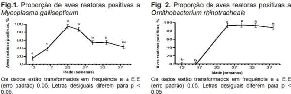 Evidência sorológica, em Cuba, da circulação de Ornitobacterium rhinotracheale em galinhas poedeiras com síndrome respiratória crônica - Image 1