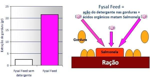 Controle de Salmonella em Unidades de Fábrica de Ração - Image 5
