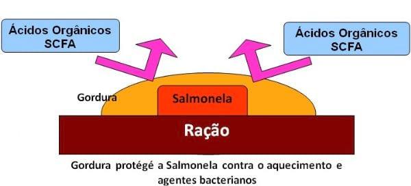 Controle de Salmonella em Integradoras - Image 5