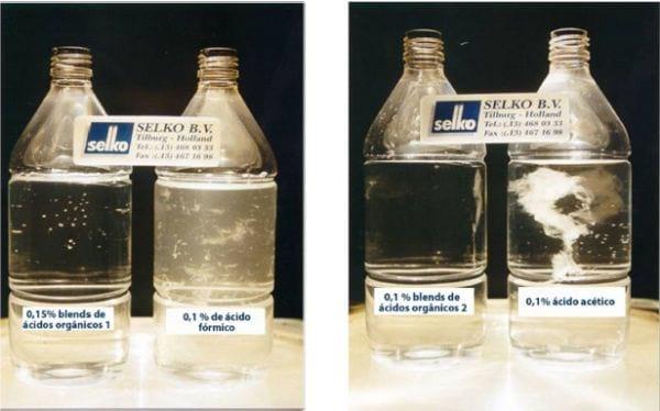 Qualidade de Água de Bebida e Biofilmes na linha de água para Animais de Produção - Image 5