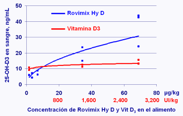 Importância da absorção de Vitamina D3 - Image 3