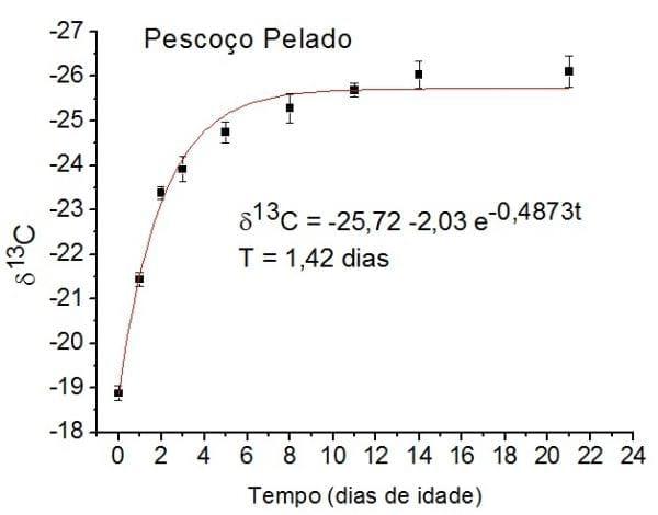 Turnover do carbono-13 no plasma de frangos de corte tipo colonial - Image 1
