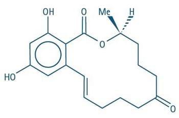 Toxicidade por Zearalenona, um Fator Significativo para Prejuízos Reprodutivos em Suínos - Image 2